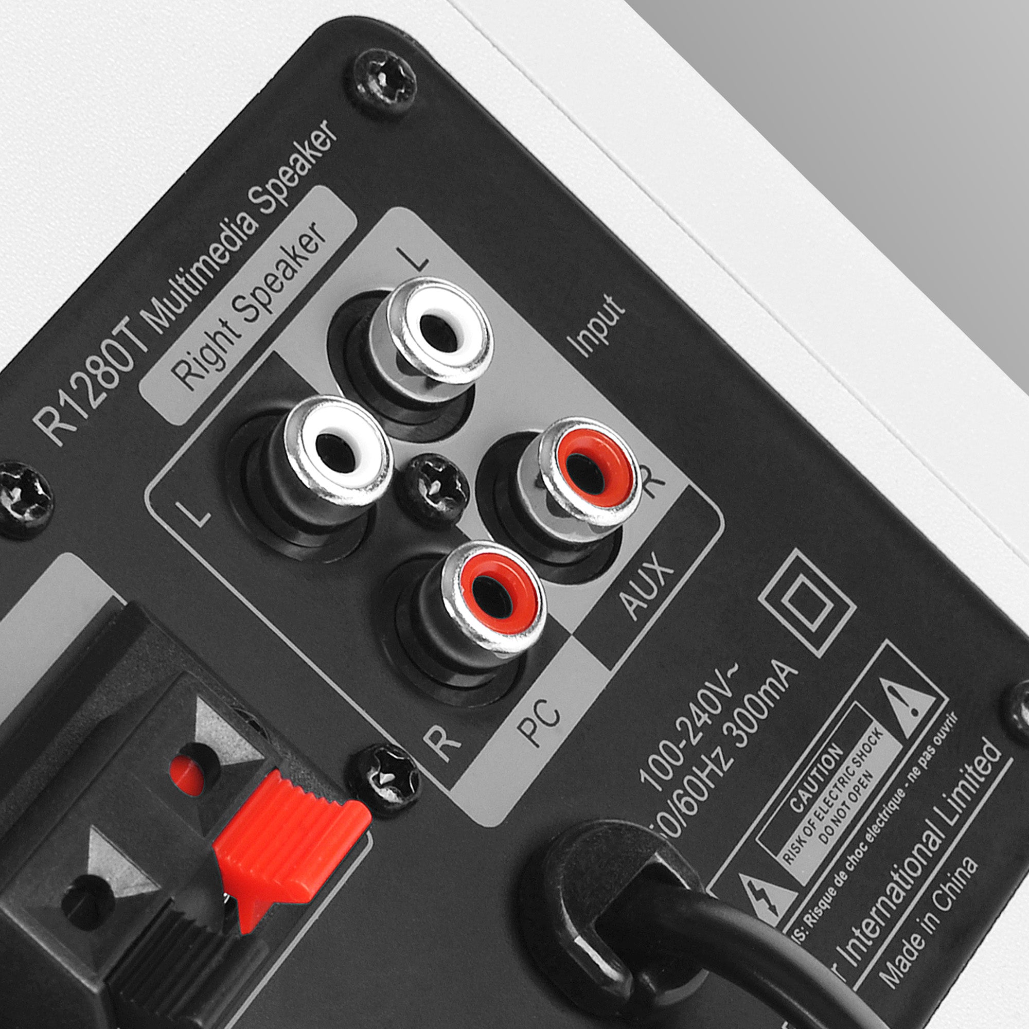 Enceintes bibliothèque puissantes R1280T au look rétro